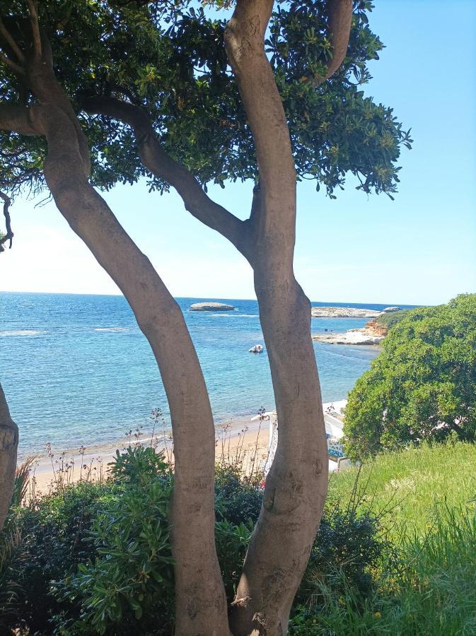 Gentarrubia - A Casa Nel Cuore Della Citta Oristano Luaran gambar